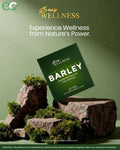 Premium Organic Barley
